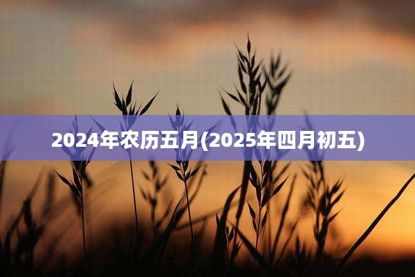2024年农历五月(2025年四月初五)