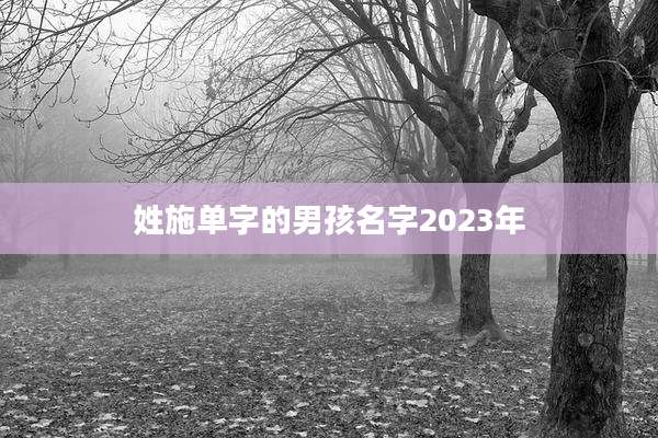 姓施单字的男孩名字2023年
