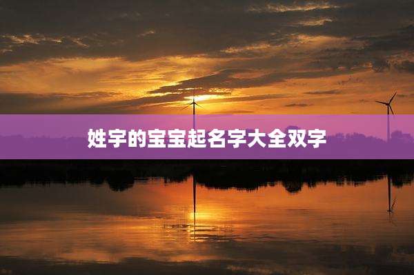 姓宇的宝宝起名字大全双字