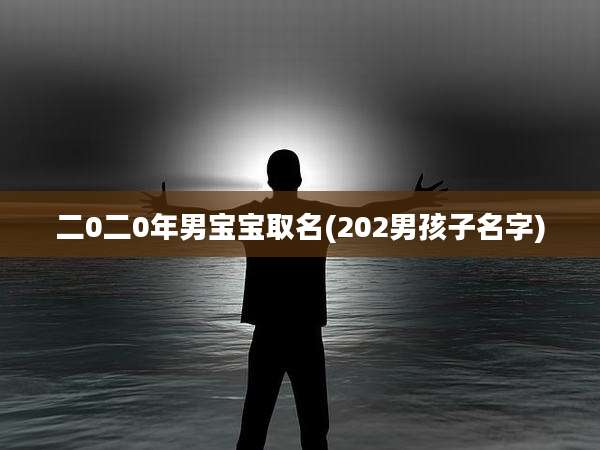 二0二0年男宝宝取名(202男孩子名字)