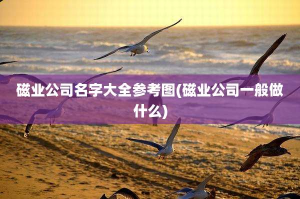 磁业公司名字大全参考图(磁业公司一般做什么)
