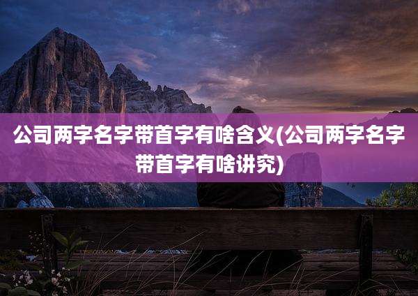 公司两字名字带首字有啥含义(公司两字名字带首字有啥讲究)
