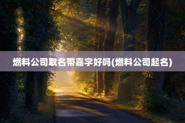 燃料公司取名带嘉字好吗(燃料公司起名)