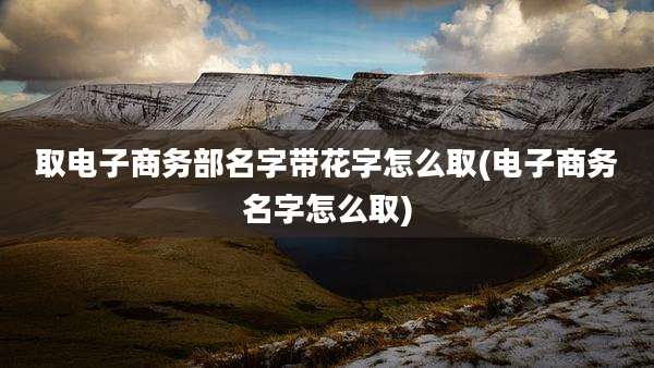 取电子商务部名字带花字怎么取(电子商务名字怎么取)