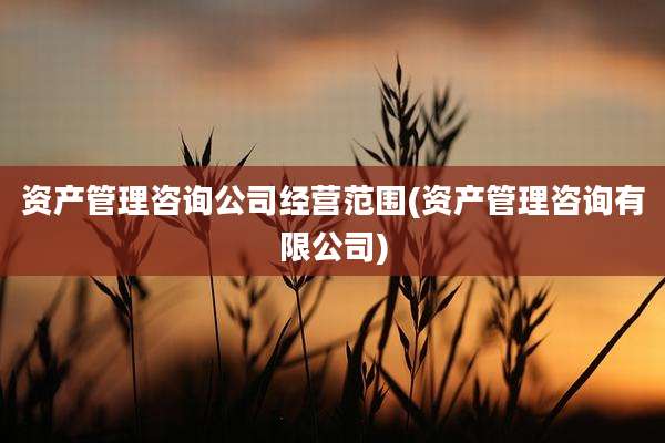 资产管理咨询公司经营范围(资产管理咨询有限公司)