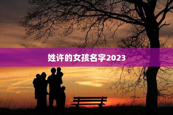 姓许的女孩名字2023