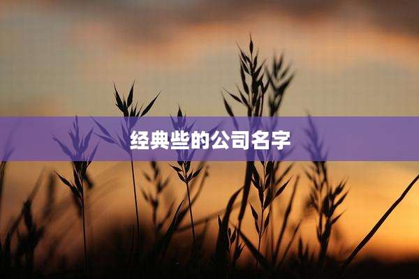 经典些的公司名字