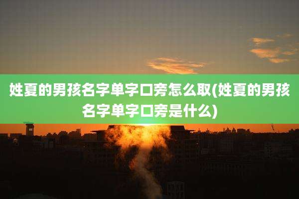 姓夏的男孩名字单字口旁怎么取(姓夏的男孩名字单字口旁是什么)
