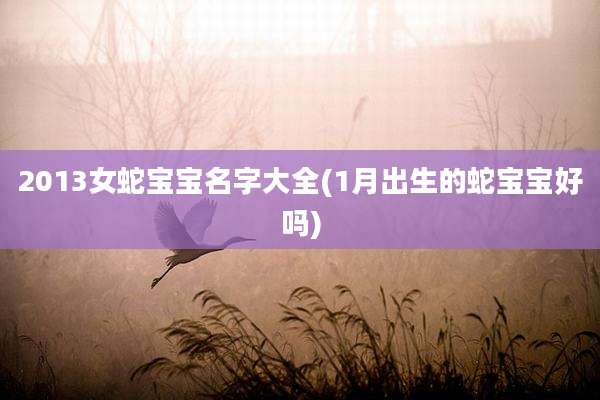 2013女蛇宝宝名字大全(1月出生的蛇宝宝好吗)