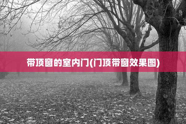 带顶窗的室内门(门顶带窗效果图)