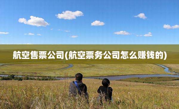 航空售票公司(航空票务公司怎么赚钱的)