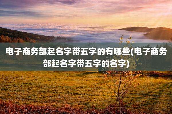 电子商务部起名字带五字的有哪些(电子商务部起名字带五字的名字)