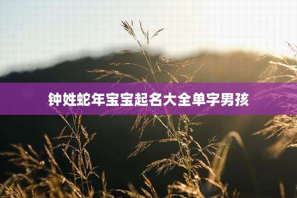 钟姓蛇年宝宝起名大全单字男孩