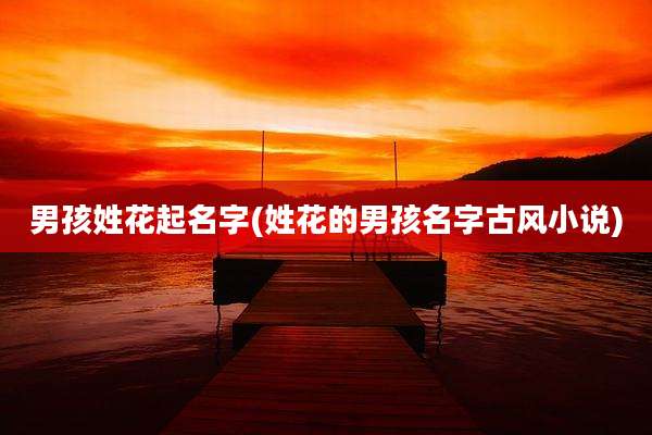 男孩姓花起名字(姓花的男孩名字古风小说)