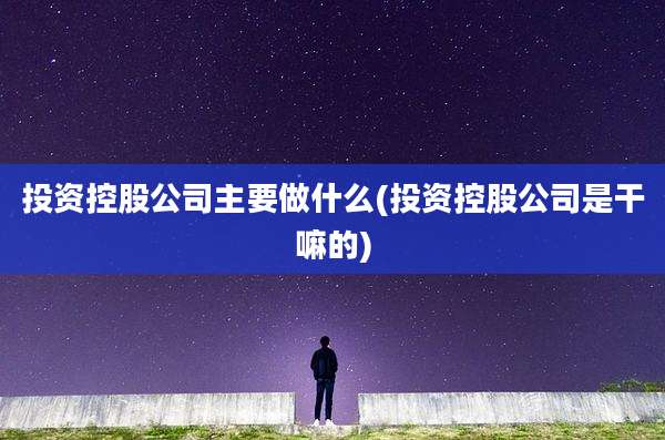 投资控股公司主要做什么(投资控股公司是干嘛的)
