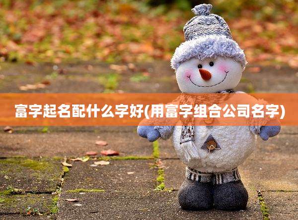 富字起名配什么字好(用富字组合公司名字)