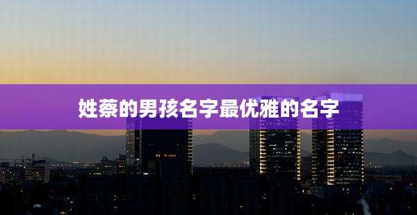 姓蔡的男孩名字最优雅的名字
