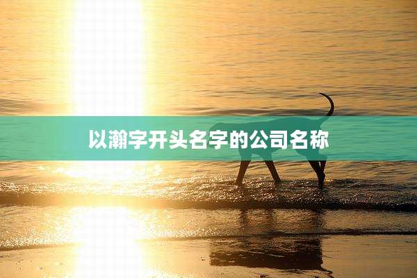 以瀚字开头名字的公司名称