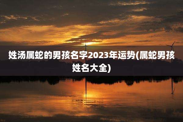 姓汤属蛇的男孩名字2023年运势(属蛇男孩姓名大全)