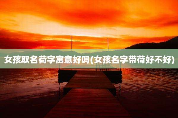 女孩取名荷字寓意好吗(女孩名字带荷好不好)