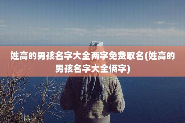 姓高的男孩名字大全两字免费取名(姓高的男孩名字大全俩字)