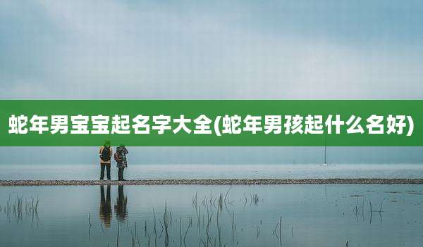 蛇年男宝宝起名字大全(蛇年男孩起什么名好)