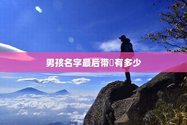 男孩名字最后带祎有多少