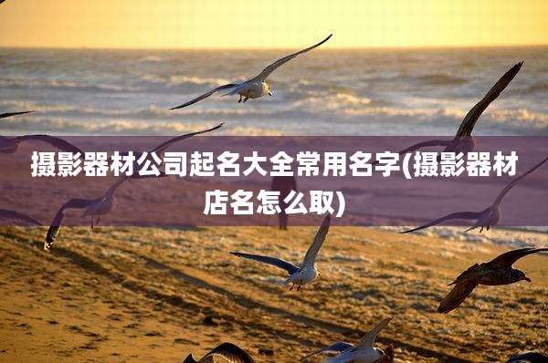 摄影器材公司起名大全常用名字(摄影器材店名怎么取)