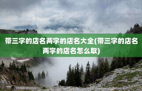 带三字的店名两字的店名大全(带三字的店名两字的店名怎么取)
