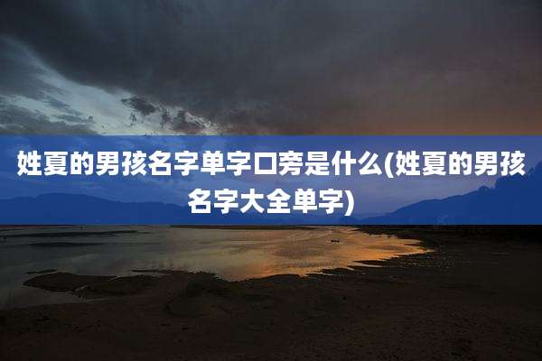 姓夏的男孩名字单字口旁是什么(姓夏的男孩名字大全单字)