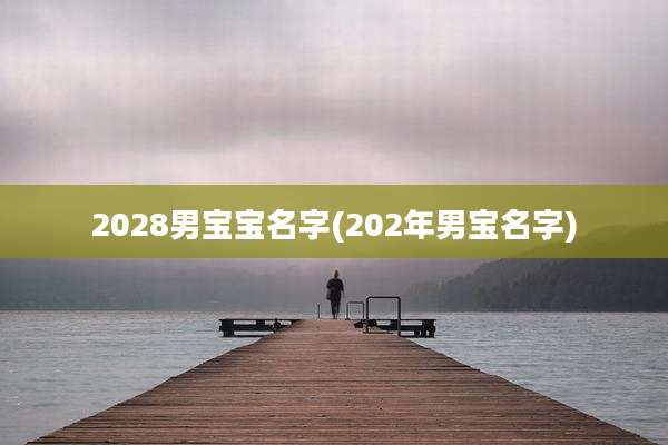 2028男宝宝名字(202年男宝名字)