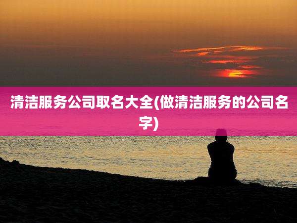 清洁服务公司取名大全(做清洁服务的公司名字)