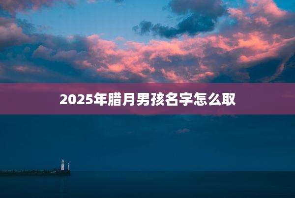 2025年腊月男孩名字怎么取