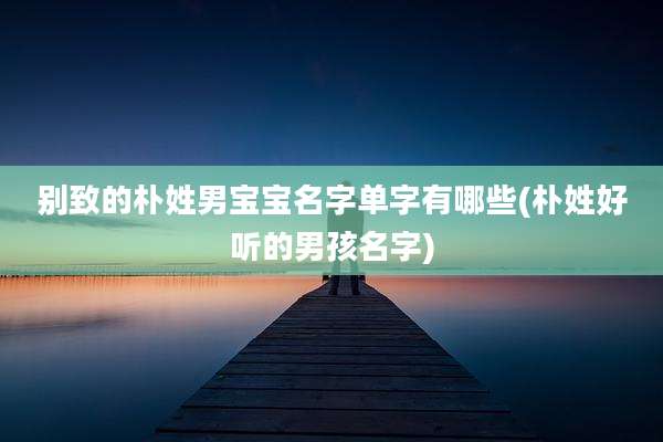 别致的朴姓男宝宝名字单字有哪些(朴姓好听的男孩名字)