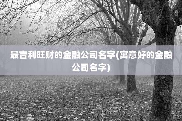 最吉利旺财的金融公司名字(寓意好的金融公司名字)