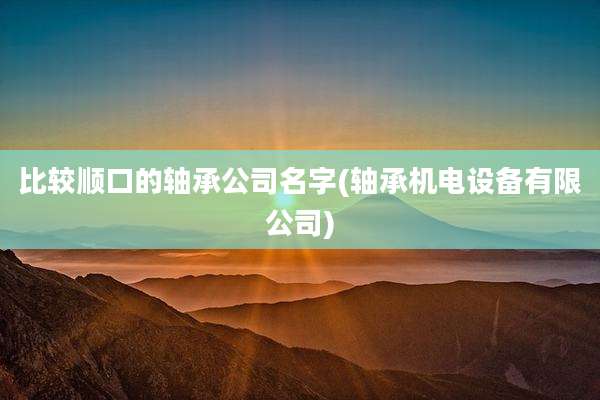 比较顺口的轴承公司名字(轴承机电设备有限公司)