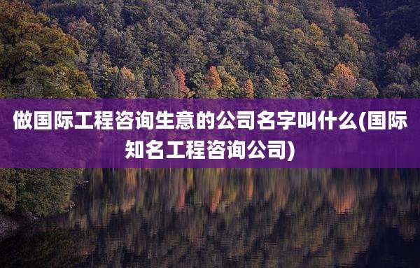 做国际工程咨询生意的公司名字叫什么(国际知名工程咨询公司)