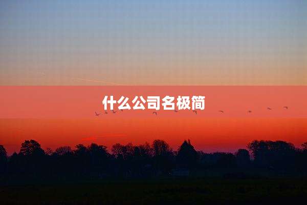 什么公司名极简