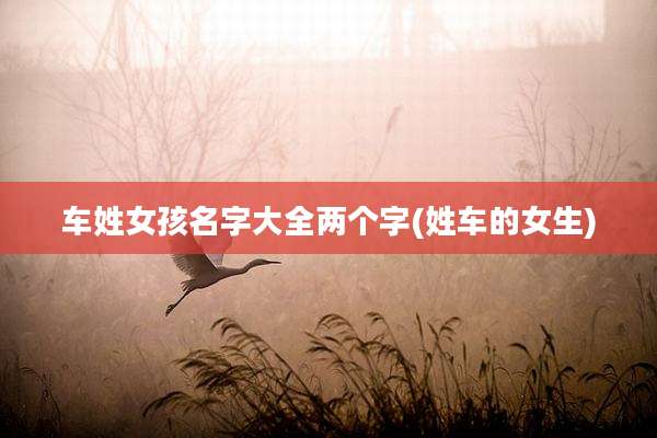 车姓女孩名字大全两个字(姓车的女生)