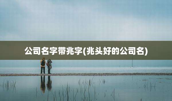公司名字带兆字(兆头好的公司名)