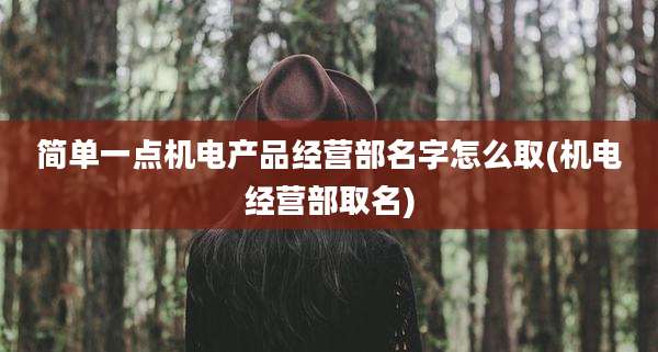 简单一点机电产品经营部名字怎么取(机电经营部取名)