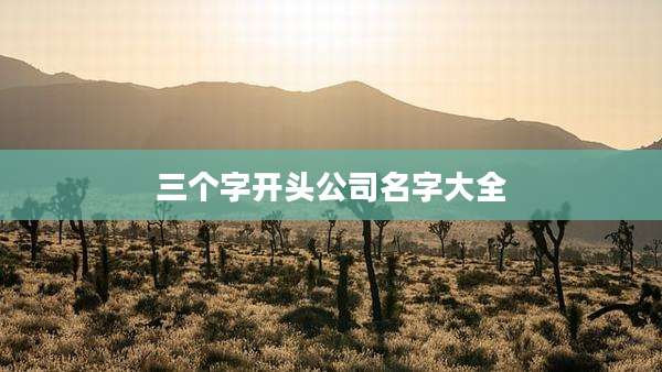 三个字开头公司名字大全