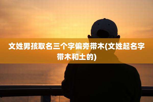 文姓男孩取名三个字偏旁带木(文姓起名字带木和土的)
