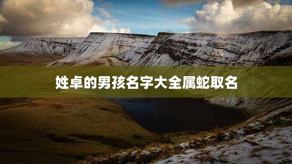 姓卓的男孩名字大全属蛇取名