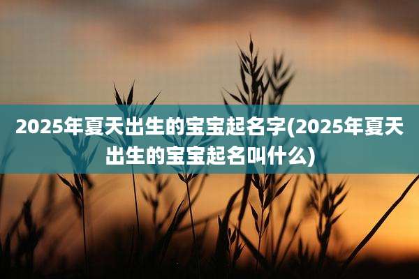2025年夏天出生的宝宝起名字(2025年夏天出生的宝宝起名叫什么)