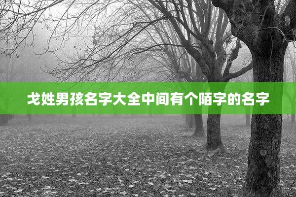 戈姓男孩名字大全中间有个陌字的名字