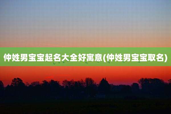 仲姓男宝宝起名大全好寓意(仲姓男宝宝取名)