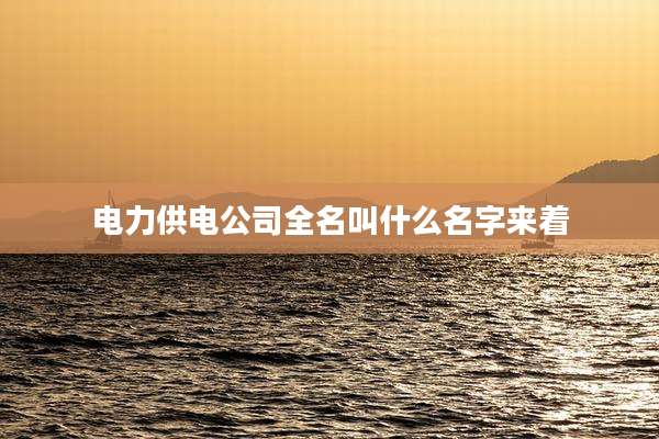 电力供电公司全名叫什么名字来着