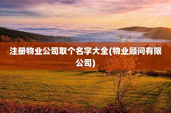 注册物业公司取个名字大全(物业顾问有限公司)