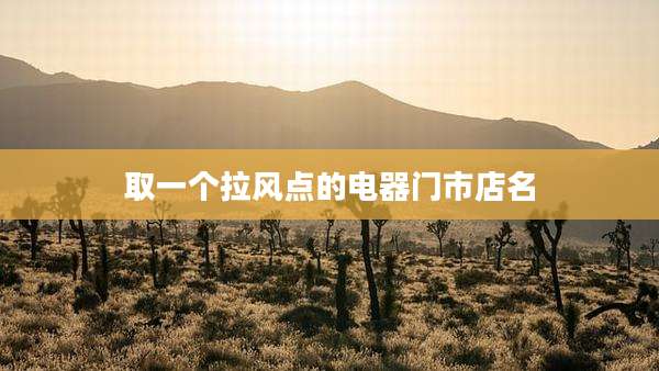 取一个拉风点的电器门市店名